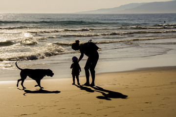 Mother, son and dog on a beach silhouettes