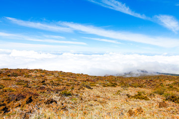Landscape of Haleakala National Park, Maui, Hawaii
