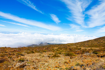 Landscape of Haleakala National Park, Maui, Hawaii