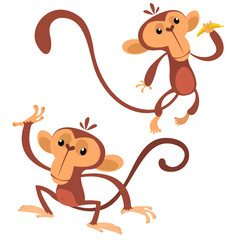 Cartoon monkey animals flat style. Vector dancing monkey set. Jungle chimpanzee characters icolated on white. Zoo monkey mascot