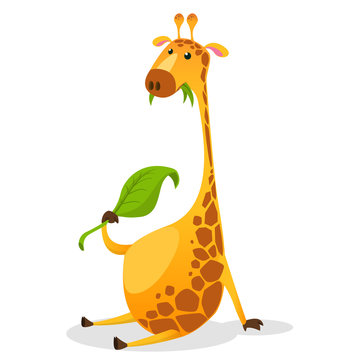 Cute giraffe cartoon vector illustration. Wild mammal safari giraffe with slim neck. Vector savanna giraffe eating green leave. Tropical giraffe sitting with long neck.