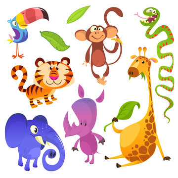 Cartoon tropical animal characters. Wild cartoon cute animals collections vector. Big set of cartoon jungle animals flat vector illustration. Toucan, monkey, tiger, snake, elephant, rhino, giraffe