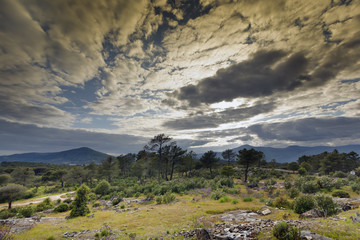Ocaso en Lancharrasa