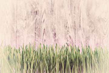Obraz na płótnie Canvas Vintage Background with Green Grass