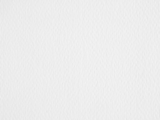 clean white paper texture