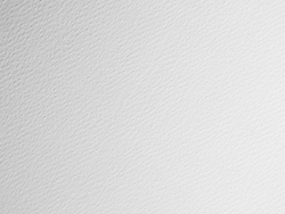 white paper texture