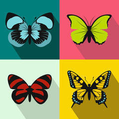 Butterfly banners set, flat style
