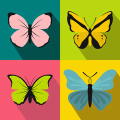 Butterfly banners set, flat style