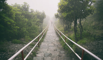 Fototapeta premium Lonely