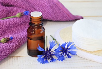 Fototapeta na wymiar Herbal essence. Cornflower tincture, dark glass apothecary bottle, towel, cotton pads, fresh blue flower. Natural skin treatment. 
