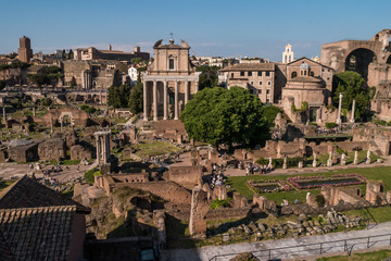 Obraz premium Blick vom Palatin auf das Forum Romanum in Rom mit Tempel des Antonius Pius und der Faustina