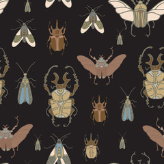 Vector seamless pattern with color beetles on black background