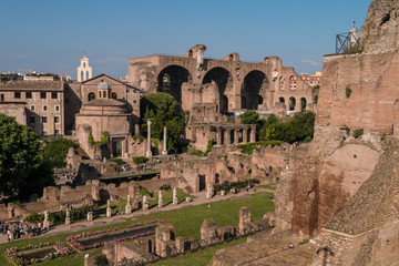 Obraz premium Blick vom Palatin auf das Forum Romanum in Rom mit Maxentiusbasilika