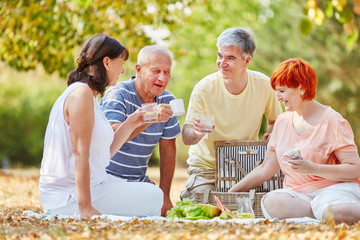 Senioren essen und trinken beim Picknick