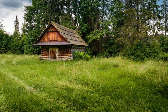 Old log cabin in the forest