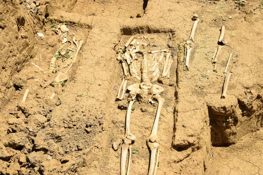 Gr&auml;berfeld mit Skeletten