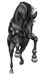 Fototapeta na wymiar Black rearing horse front 2016 A1 [Converted]