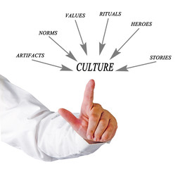 Components of culture