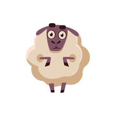 Sheep Standing Stunned