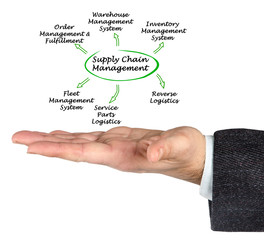 Diagram of Supply Chain Solutions