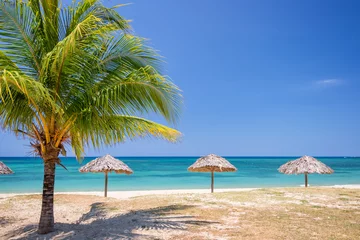 Fotobehang Straw umbrella and palm tree on a beautiful tropical beach © Delphotostock