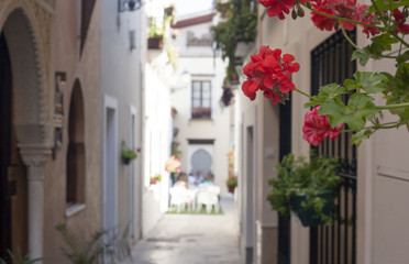 Fototapeta na wymiar Narrow old town street of Badajoz
