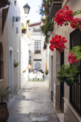 Fototapeta na wymiar Narrow old town street of Badajoz