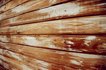 The texture of wooden wall