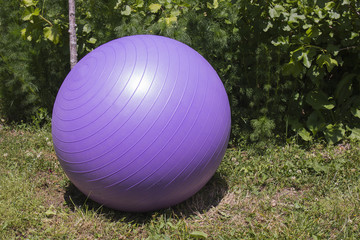purple pilates ball on a green grass in a park