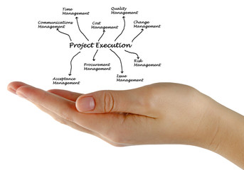 diagram of project execution