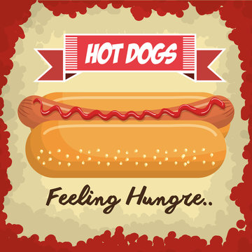 hot dog isolated icon design, vector illustration  graphic 