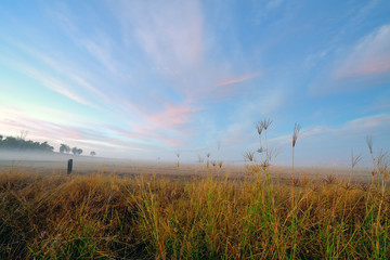 Australia Landscape : Farming in Australia