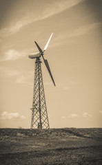 Wind mills during bright summer day, wind power plant in the fie