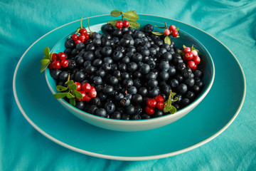Delicious ripe blueberries in a blue Cup is on the blue tablecloth