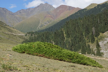 In the mountains of Kyrgyzstan       