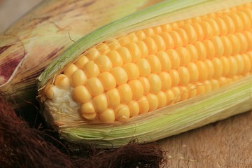 fresh corn