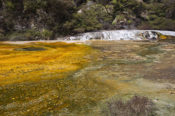 Arriving at Warbrick Terrace.