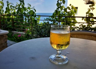 Cool bear with sea view