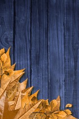 Autumn leaves on wood