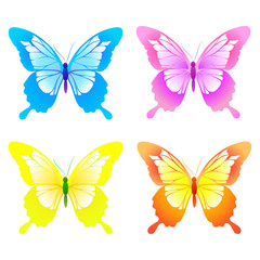 butterflies design