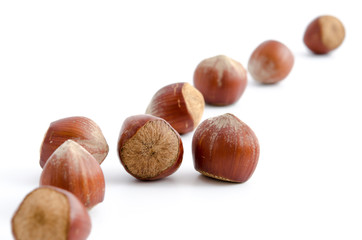 Haselnüsse