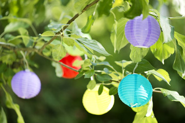 bunte Lamions im Garten