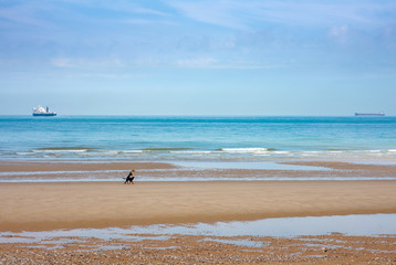 jeune femme et son chien sur la plage