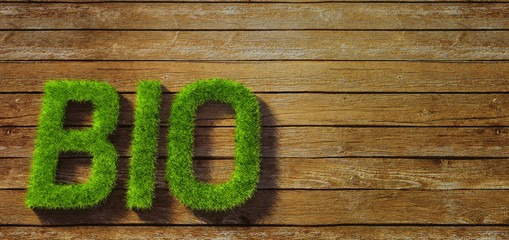 Bio made of grass on wood background