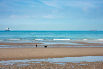 jeune femme et son chien sur la plage déserte