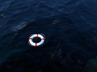 Life preserver in sea