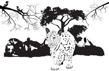 Fototapeta premium Leopard walking forest on background, tree branches, vector illustration