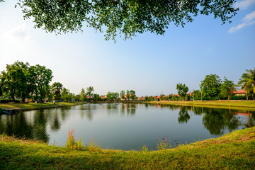 Fototapeta na wymiar Garden with a small lake landscape