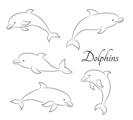 Fototapeta premium Line sketch illustration with five cute dolphins. Vector eps10.