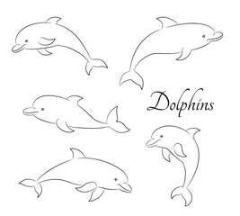 Foto auf Acrylglas Antireflex Linienskizzenillustration mit fünf süßen Delfinen. Vektor eps10. © Eva Speshneva